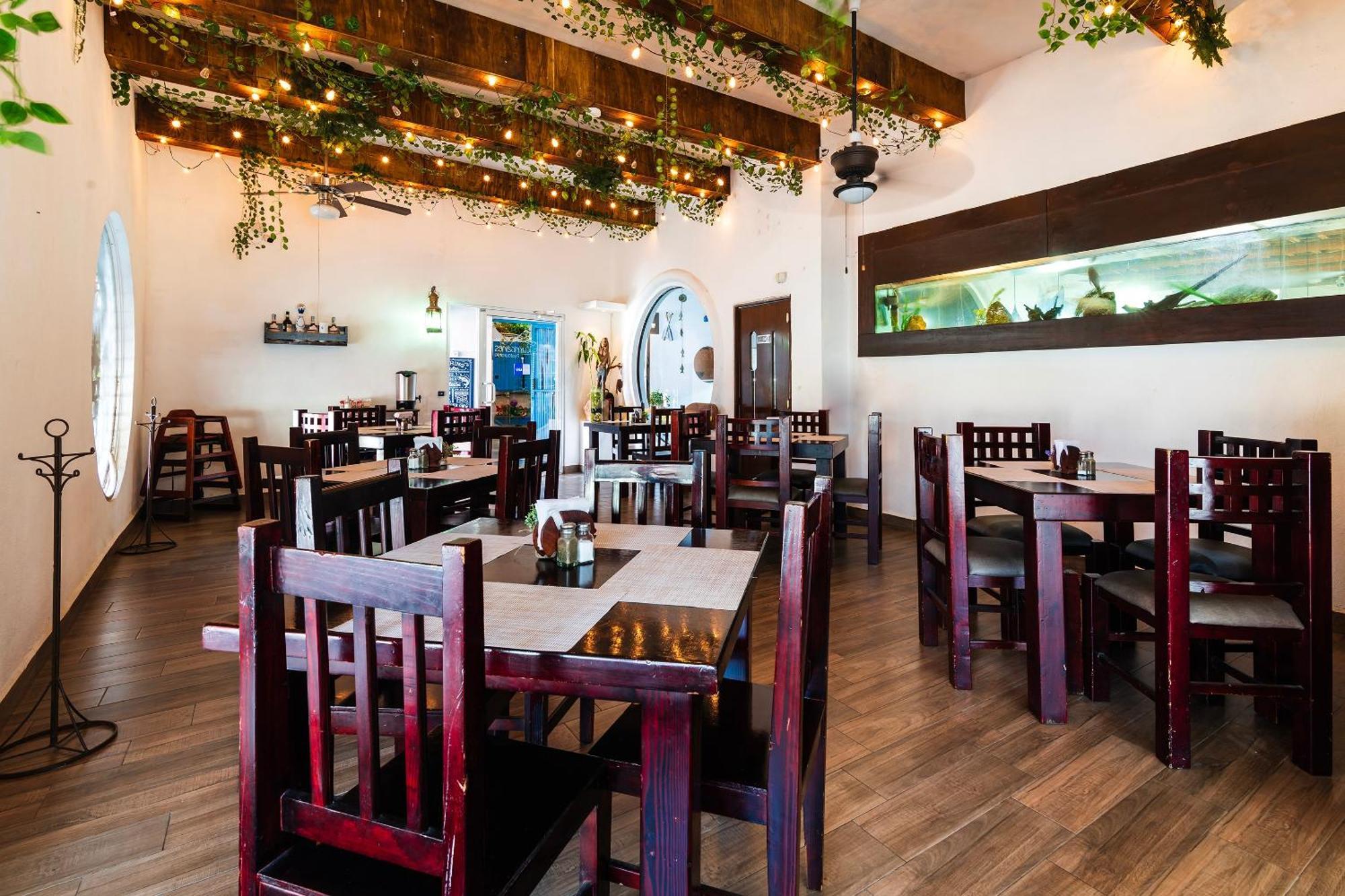 Oyo Posada Del Pescador Cabo San Lucas Exteriér fotografie
